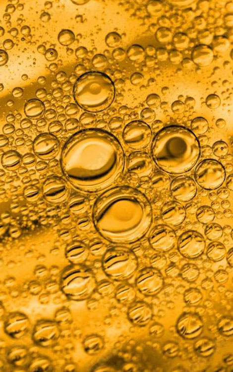 Fermentation Boosters