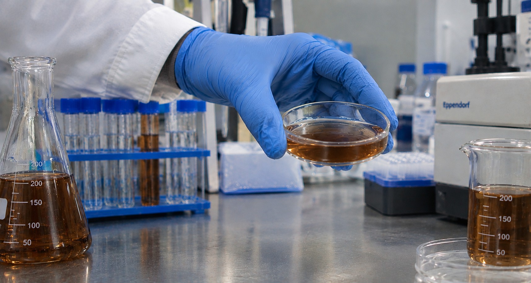 Enzymatic Solutions